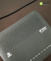 ���Ź���è