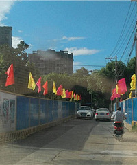 ����ƮƮ����������ɶ���ࣿ