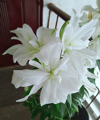 ƽ���������Ҳ�������СС�ľ�ϲ��