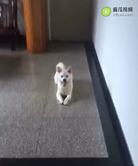 �����������С����