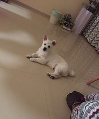 �����������С����