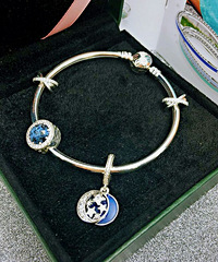 PANDORA�˶������ǿ�