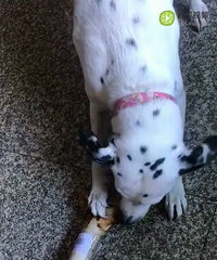 ����Ȼţ�ǣ����ⱳ��ֻΪ��ϲ���������аɣ�������