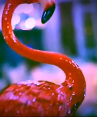 ���������Ƶ�Լ����ּ�����һ����һ��