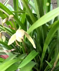 �ֿ�����