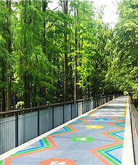 �̵������Ѿ�ȫ�߿�ͨ