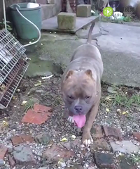 �������Ȯ��С��