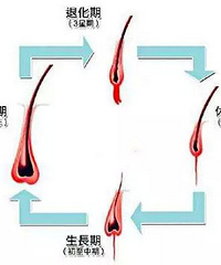 科发源植发圈子