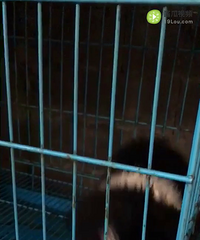 �����²�������С��