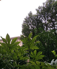 ������---·��ҰĢ��