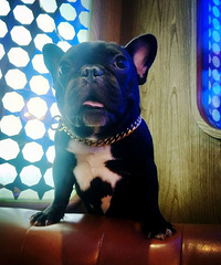 �Ҽҵ�������