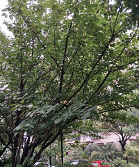 ������---·��ҰĢ��