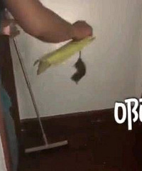 �������ֲ���û�У�Ů���µ�������С����ץ���󣡱�Ц��