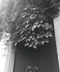 �º����£��ڰ�����