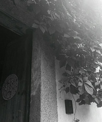 �º����£��ڰ�����