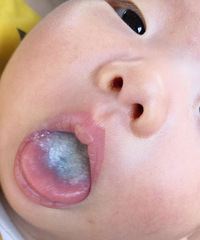 [����]2��������̦������ɫ���