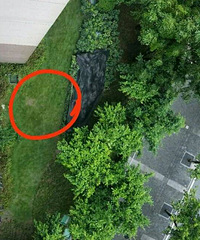 ���Ż��У����ѽ�ë����è���21¥���£����ˤ����