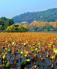 杭州周五气温又要34℃ 台风"山竹"虎视眈眈