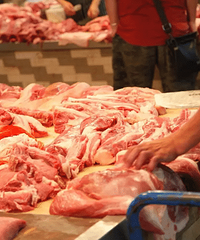 ��Ҿ�����������Ǽ�����