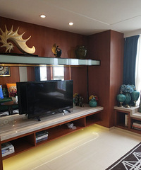 ���������ģ�����5.6�׸�ʽ����װ�޹�Ԣ���÷���160%