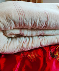 ����õ����ﱻ��ȫ�´��ޱ�����������ת��