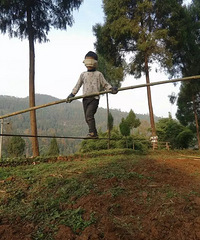 Ϊ�����ֻ�񫣬һ������7���к�ÿ����ϰ�����߸�˿...