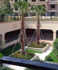 ���������ģ������6����׸�16��÷���޾�������Ҫ����ϵ