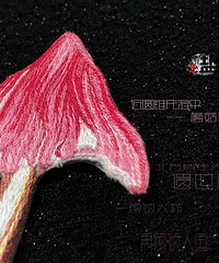 蘑菇家族养成记