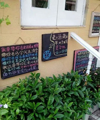 什么样的又是我们期待的爱情呢