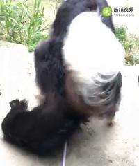 ����빫����۴���