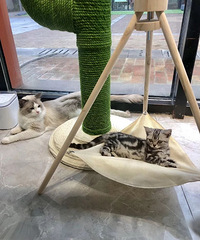 ������м�è�ᣨ�����˳���꣩������