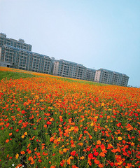 һ��������