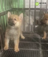 ������۾�Ʒ��Ȯ