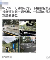 "山竹"过后首个工作日:广东人爬树都要去上班