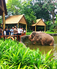 2018.7.新加坡之旅