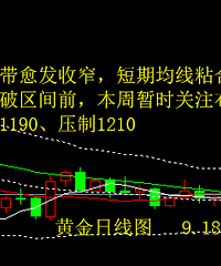 张书润:黄金千二关口胶着运行 震荡整理还将延续