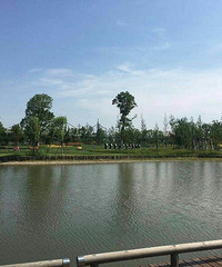 �߶˻�԰ʽ����