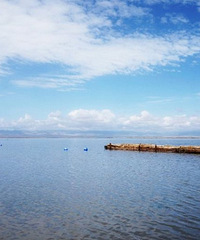 �������С���ʥ��԰�����Ŵ󲿷��˶���һ������Σ�¿��ʵ����