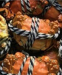 �������︣��������Ľ~