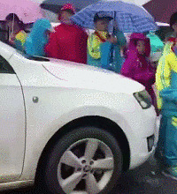 这位女司机,你开车的样子真丑!
