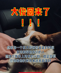 谢谢你们,大俊回来啦!!