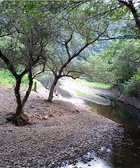 �ٰ��·羰���������ϵü�����