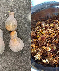 家乡的特色小吃,味道好极了