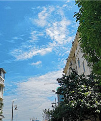 �ٰ�������������̫Ư����