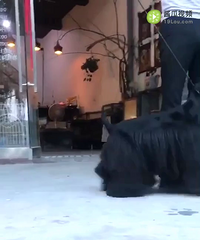 ���ͥԭ�򣬶���Ѱ��������