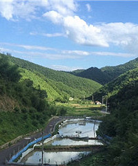 ������Ƽ�һ������ĺõط�~