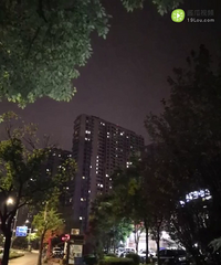 ����ҹɫ����