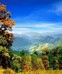 让人心醉的自驾游线天目山