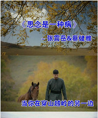 《如懿传》经超撞脸张震岳 P上墨镜后相似度达90%
