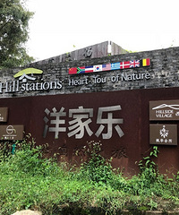 莫干山裸心茶旅